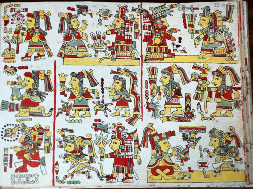 Codex Codex