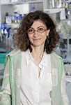 Geneviève Almouzni Geneviève Almouzni