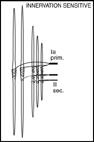 Fig 2 - Laporte Fig 2 - Laporte
