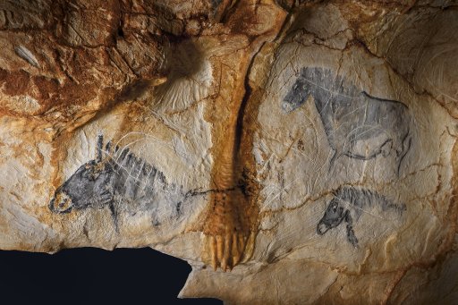 Panneau de chevaux se trouvant dans la grotte de Cosquer