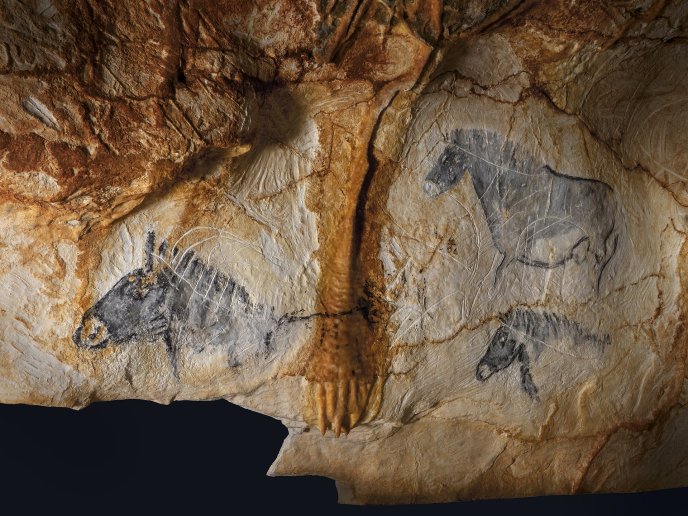 Panneau de chevaux se trouvant dans la grotte de Cosquer