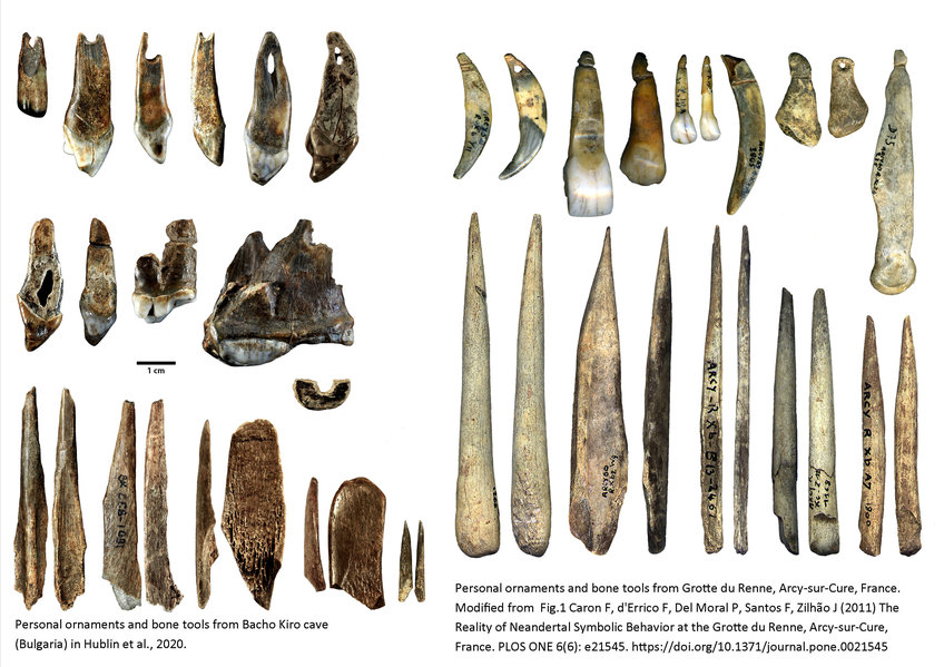 Artefacts des grottes de Bacho Kiro et du Renne Artefacts des grottes de Bacho Kiro et du Renne