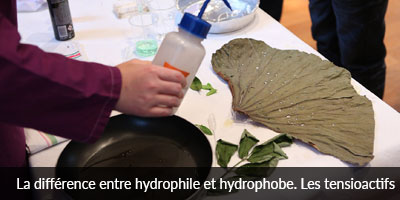 La différence entre hydrophile...