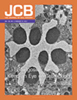 J Cell Biol Breuer J Cell Biol Breuer