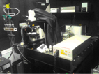 Microscopy-Fig3