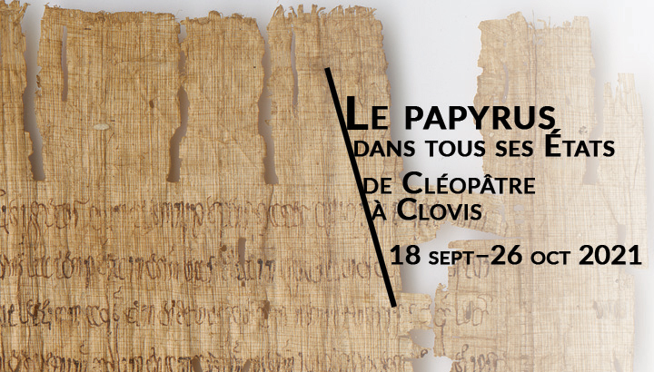 Le papyrus dans tous ses États