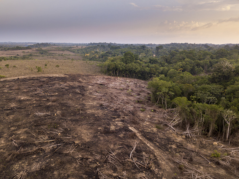 Vue arérienne drône déforestation