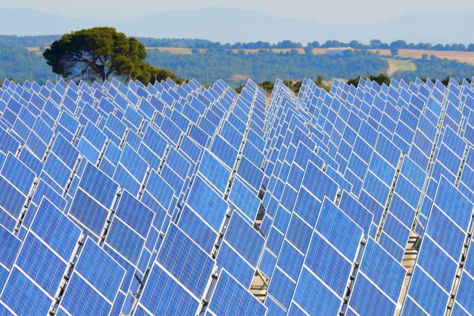 Champ de panneaux photovoltaïques