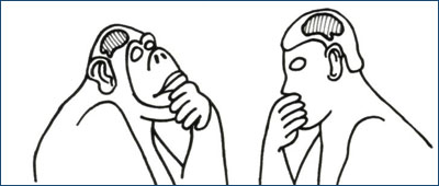 Drawing of a primate and a man