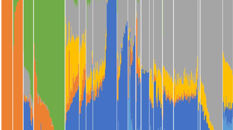 Genetic Admixture