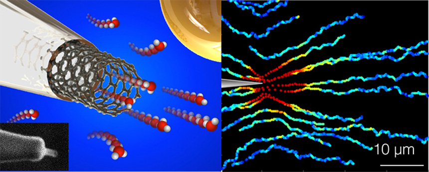 L’eau au travers d’un nanotube de carbone. Illustration tirée de l’article "Massive radius-dependent flow slippage in carbon nanotubes"