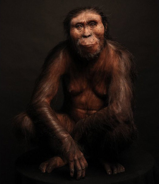 Australopithecus afarensis