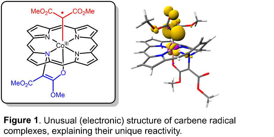 Fifure 1. Unusual (electronic) structure of carbene radical complexes, explaining thei unique reactivity.