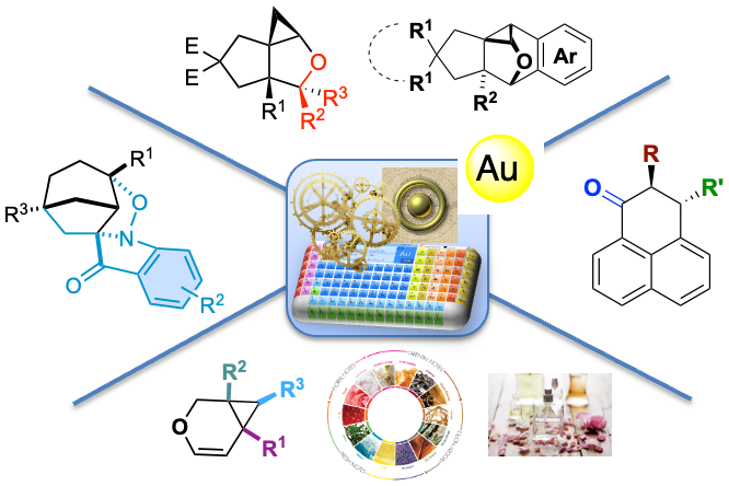 Gold catalysis: a powerful tool for rapidly building molecular complexity from simple precursors.