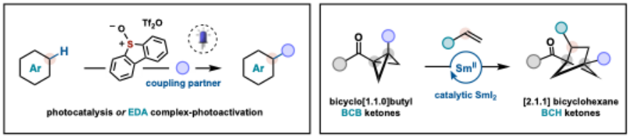 Au-catalyzed ynamide activation for divergent and selective molecular construction.