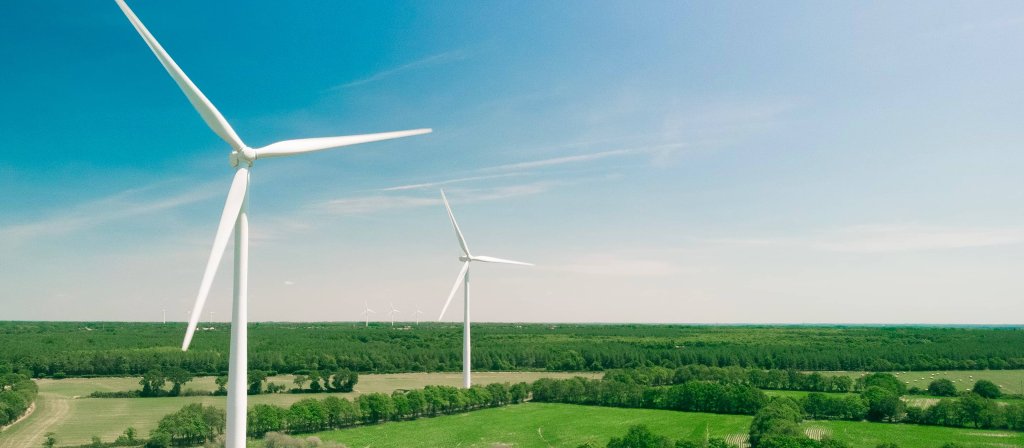 Wind turbines in a field
