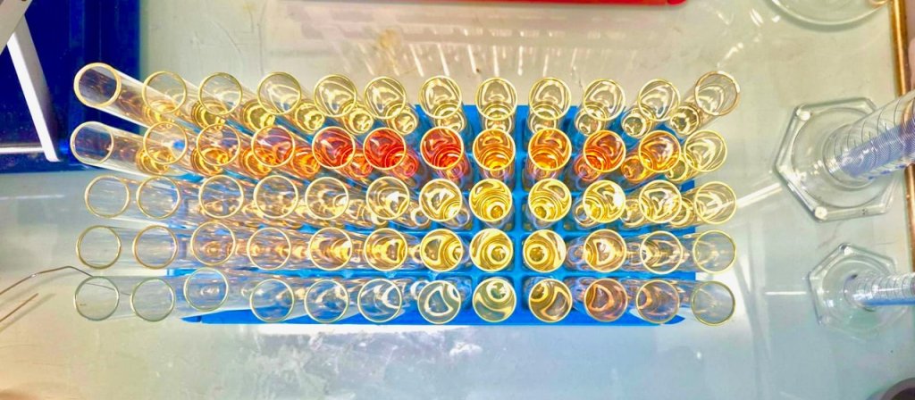 Tubes à essais de laboratoire vus de haut