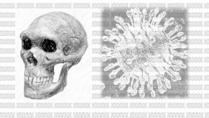 Dessin d'un crâne humain et d'un virus