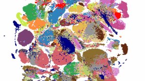 Nuage de points multicolores représentant différents types cellulaires humains regroupés par similarité dans une analyse de transcriptomique unicellulaire.