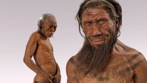 Reconstitution réaliste de deux hommes préhistoriques nus, à la peau tannée et au corps robuste, présentés sur fond neutre : l’un est vu de face avec une barbe longue et des traits marqués, l’autre est montré de profil avec des cheveux grisonnants et une posture voûtée