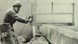 Brancusi, autoportrait