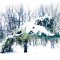 Arbres sous la neige