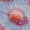 Revisiting Chemotherapy