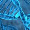 DNA repair in cancer evolution and therapy