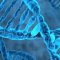 Réparation d'un ADN dans l'évolution et la thérapie du cancer