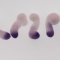Expression du gène Cyp26a1 dans des gastruloides de souris
