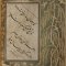 Page de manuscrit ornée d'une calligraphie en écriture cursive noire sur fond crème, encadrée par un décor de motifs d'oiseaux, d'arbres et d'animaux fantastiques sur fond vert