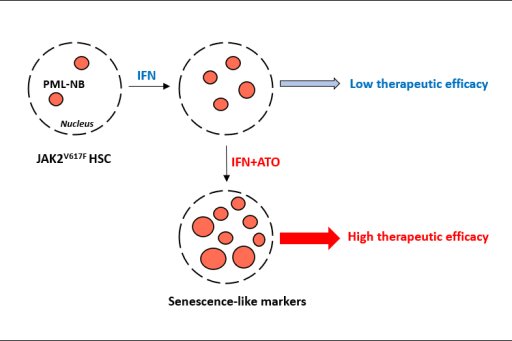 Senescence like markers