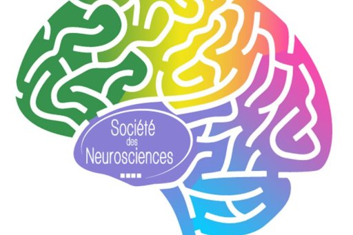 Logo de la semaine du cerveau 2015