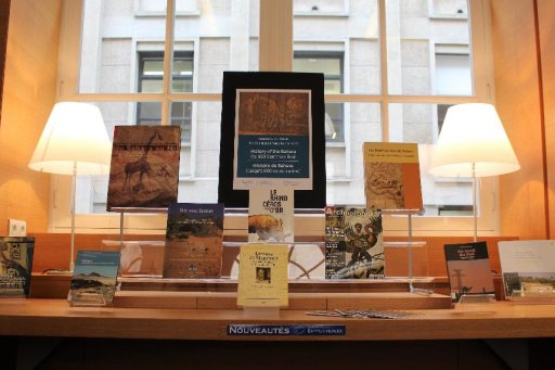 Readings on the history of the Sahara