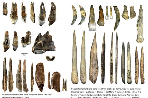 Parures et outils en os de la grotte Bacho Kiro et de la grotte du Renne