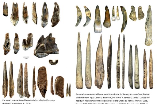 Bone ornaments and tools from Bacho Kiro Cave and Reindeer Cave