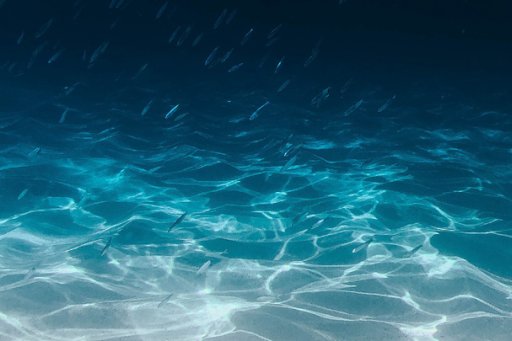 Photo of the ocean floor