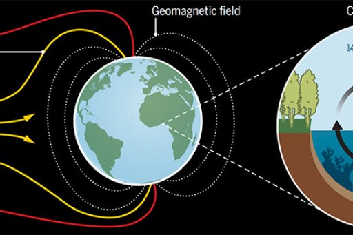 Carbon cycle diagram
