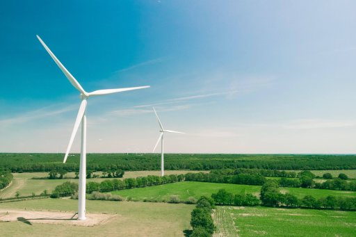 Wind turbines in a field