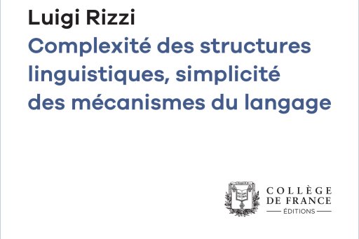 Couverture de l'édition numérique de la leçon inaugurale du Pr Rizzi