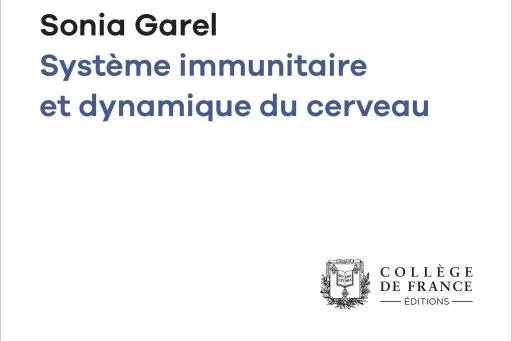 Cover of the digital edition of Pr Garel's opening lecture