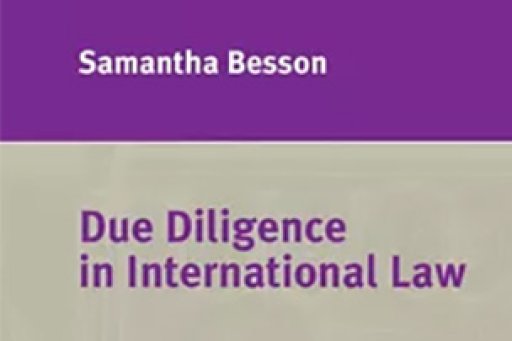 Cover of Pr Samantha Besson's book "Due Diligence in International Law"