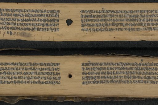 Digitized Nepalese manuscripts (available online on Salamandre)