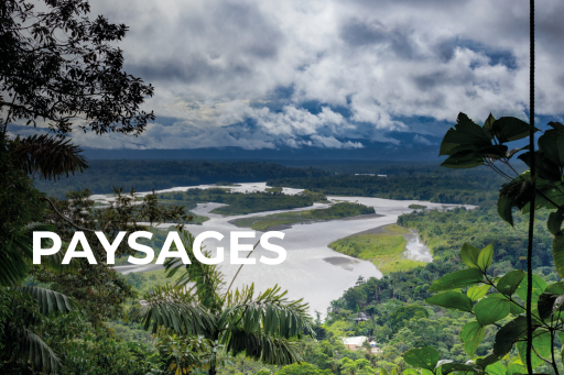 Landscapes