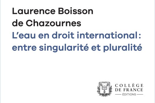 Couverture de l'édition numérique de la leçon inaugurale de la Pr Laurence Boisson de Chazournes