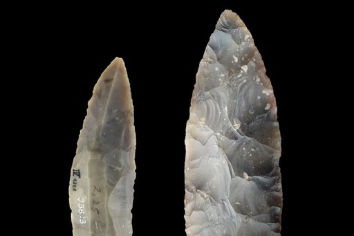 Outillage de pierre taillée du LRJ de Ranis