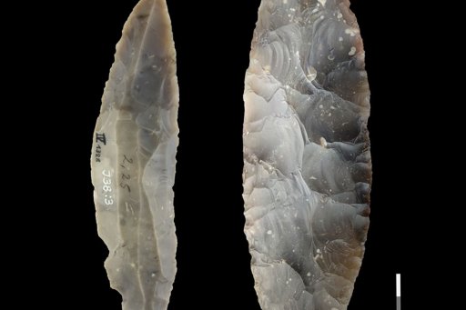 Cut stone tools from the LRJ at Ranis