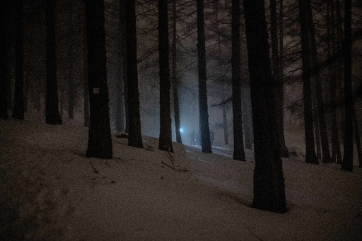 Person crossing in a snow-covered forest