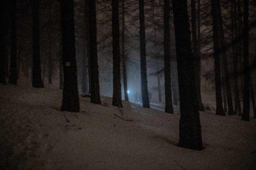 Personne traversant dans une forêt enneigée