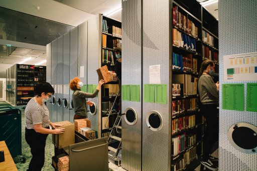 Two women arranging books on the shelves in the reading room of the library of the Ancient Egypt and Near East division